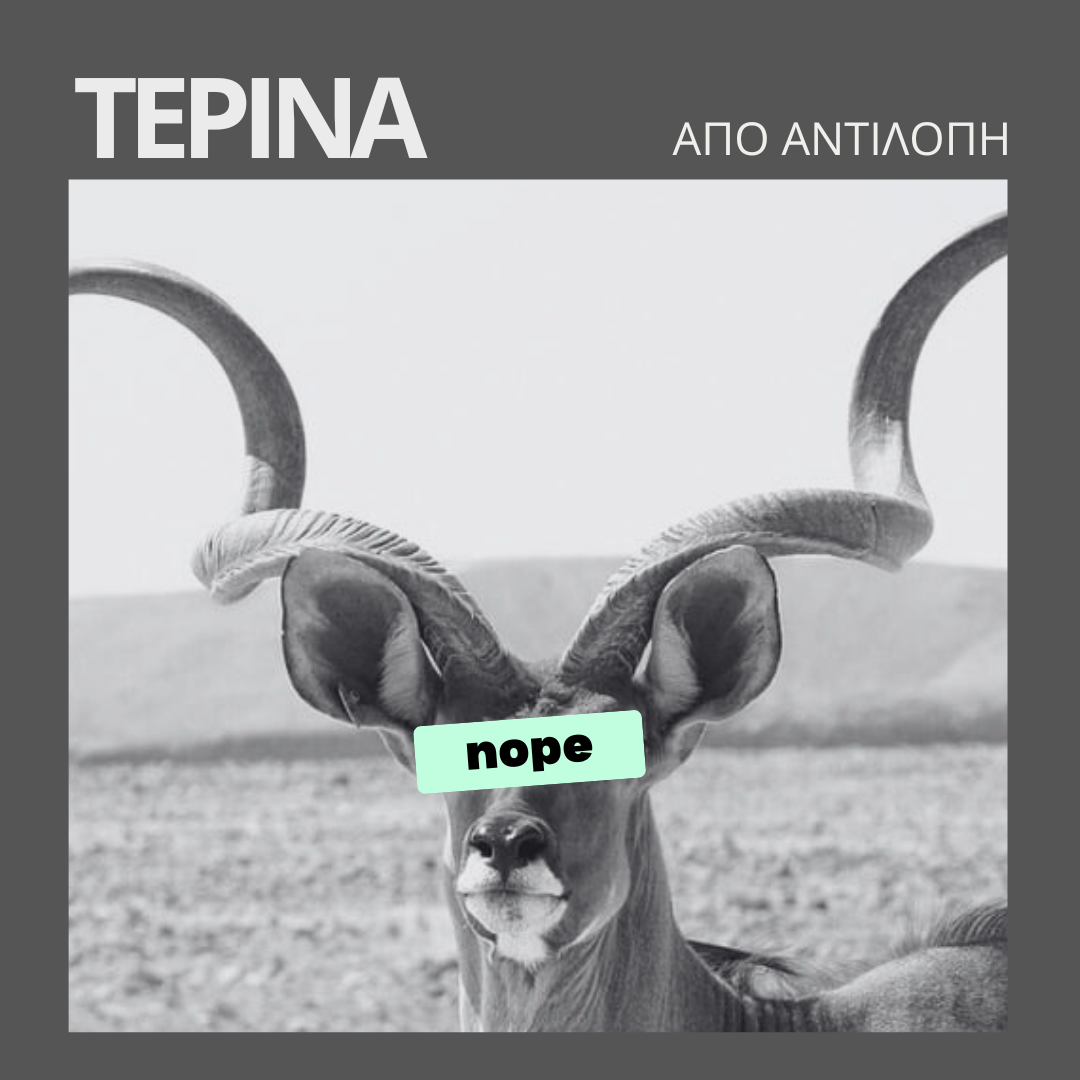 Τερίνα από αντιλόπη με τρούφες
